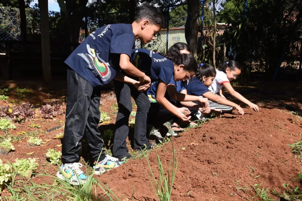 Escola pública no Riacho Fundo II dá exemplo de conscientização ambiental