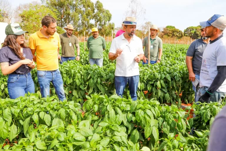 Semana de Integração Rural começa com Dia Especial do Gengibre