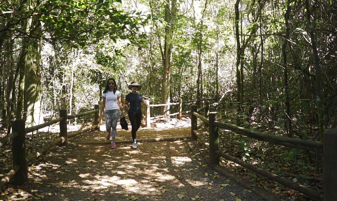 Brasil tem mais de 10 mil quilômetros de trilhas cadastradas