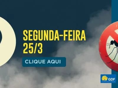 Veja a rota do fumacê desta segunda-feira (25)