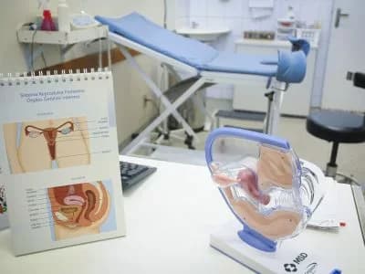 Dia Internacional da Luta contra a endometriose: conheça os sintomas e tratamentos da doença