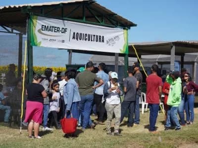 Produção intensiva de pescado será apresentada na AgroBrasília