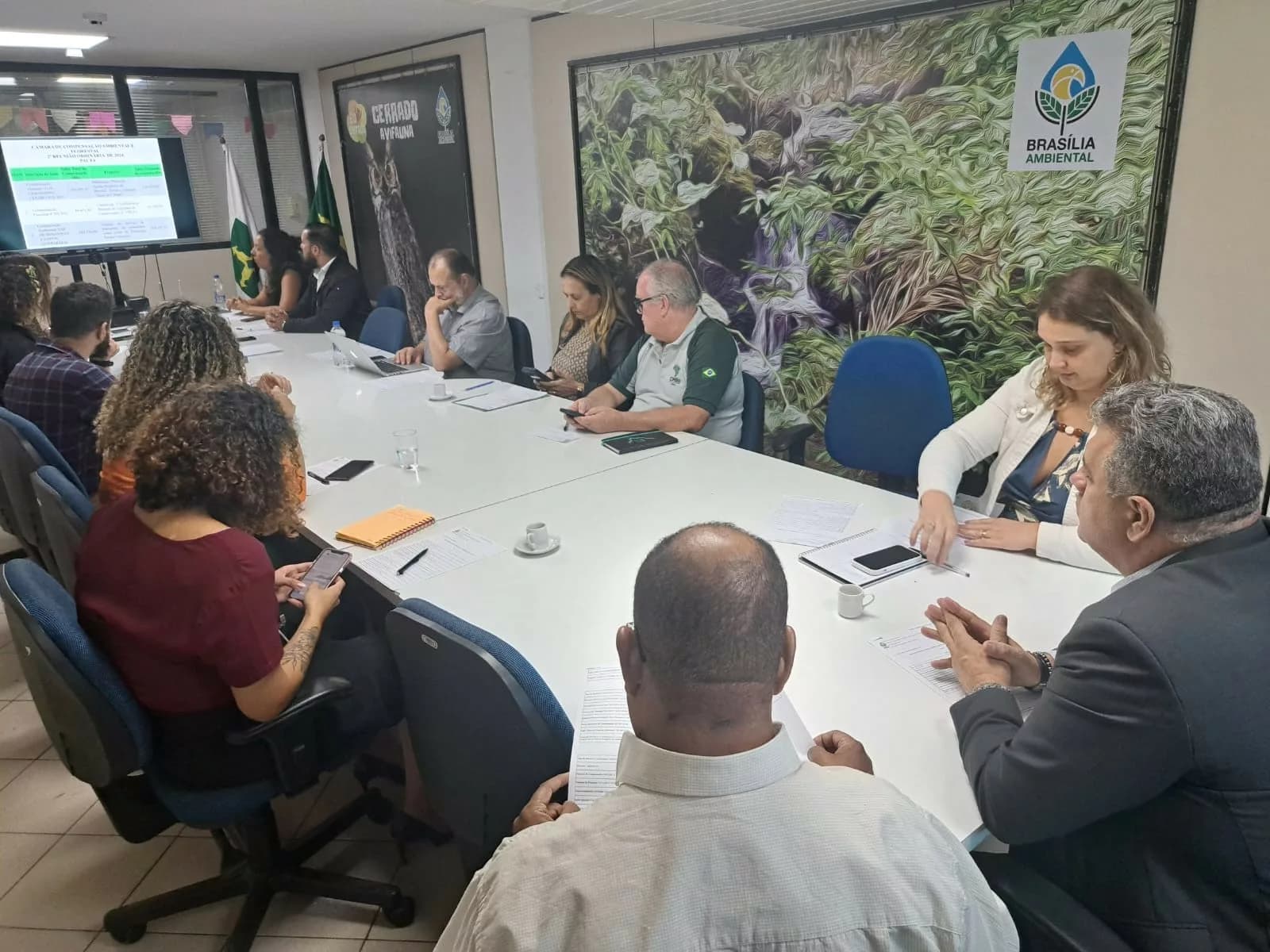 Câmara de Compensação aprova destinação de R$ 1,2 milhão a ações ambientais