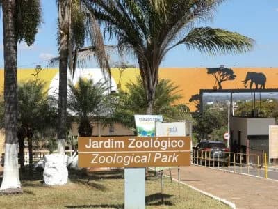 Primeira festa junina do Zoológico terá quadrilha e comidas típicas