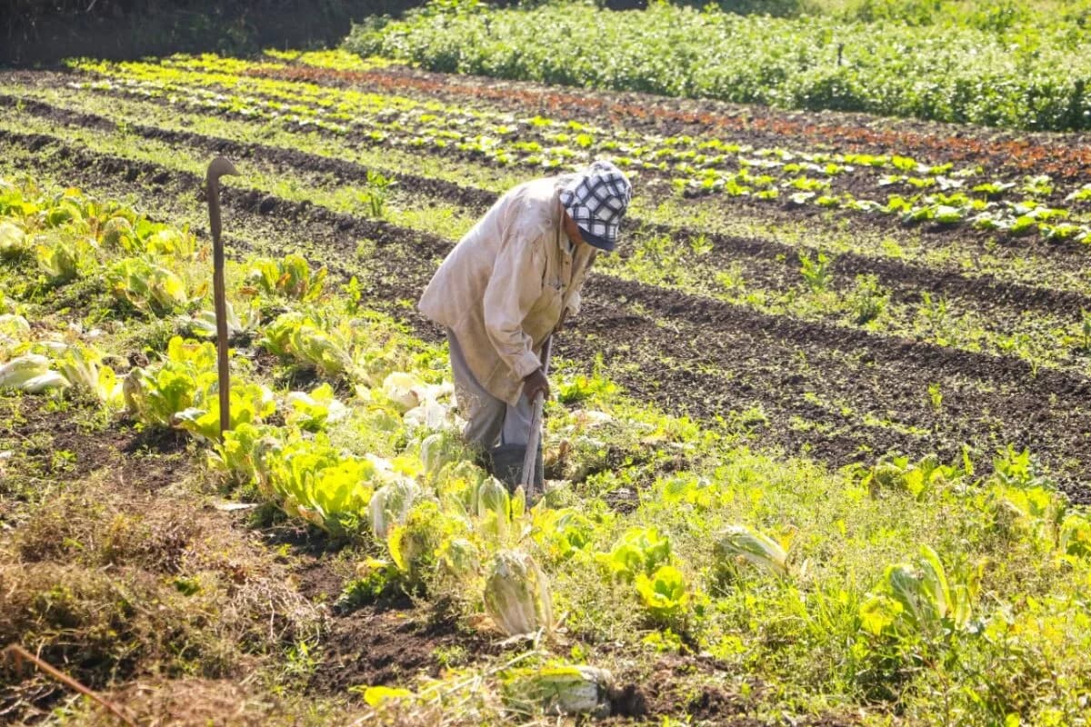 ETR traz celeridade à regularização rural no DF