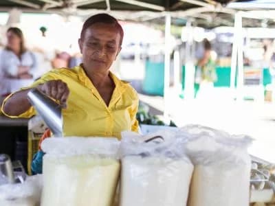 Lançado plano de trabalho para incentivar o empreendedorismo feminino no campo