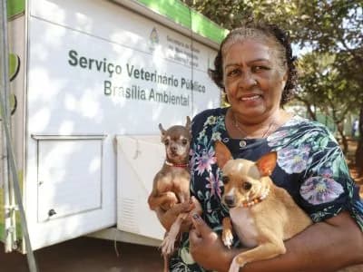 Unidade Móvel oferece serviço veterinário gratuito no Arapoanga