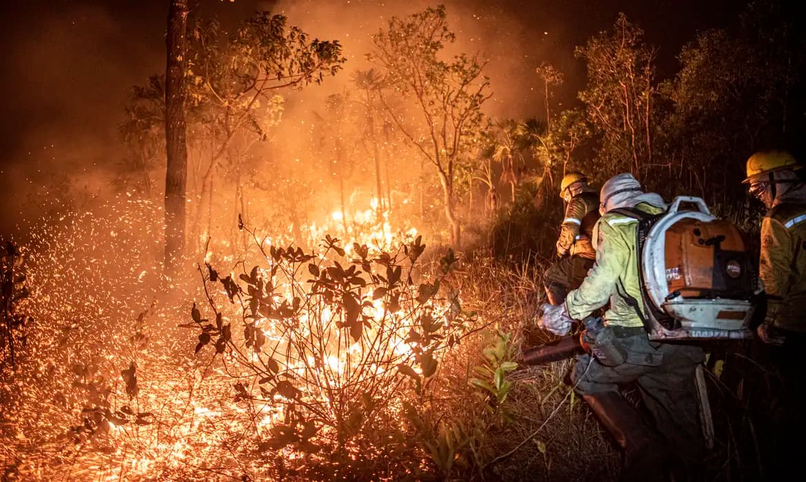 Monitoramento Indica que 99% dos Incêndios no Brasil São Causados por Ação Humana