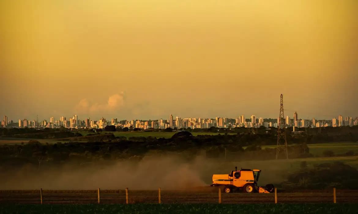 Desigualdade social persiste nas capitais do agronegócio do Centro-Oeste