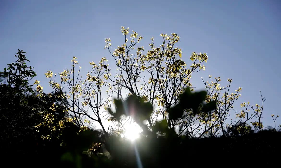 Semana Nacional de Ciência e Tecnologia começa com foco na biodiversidade brasileira