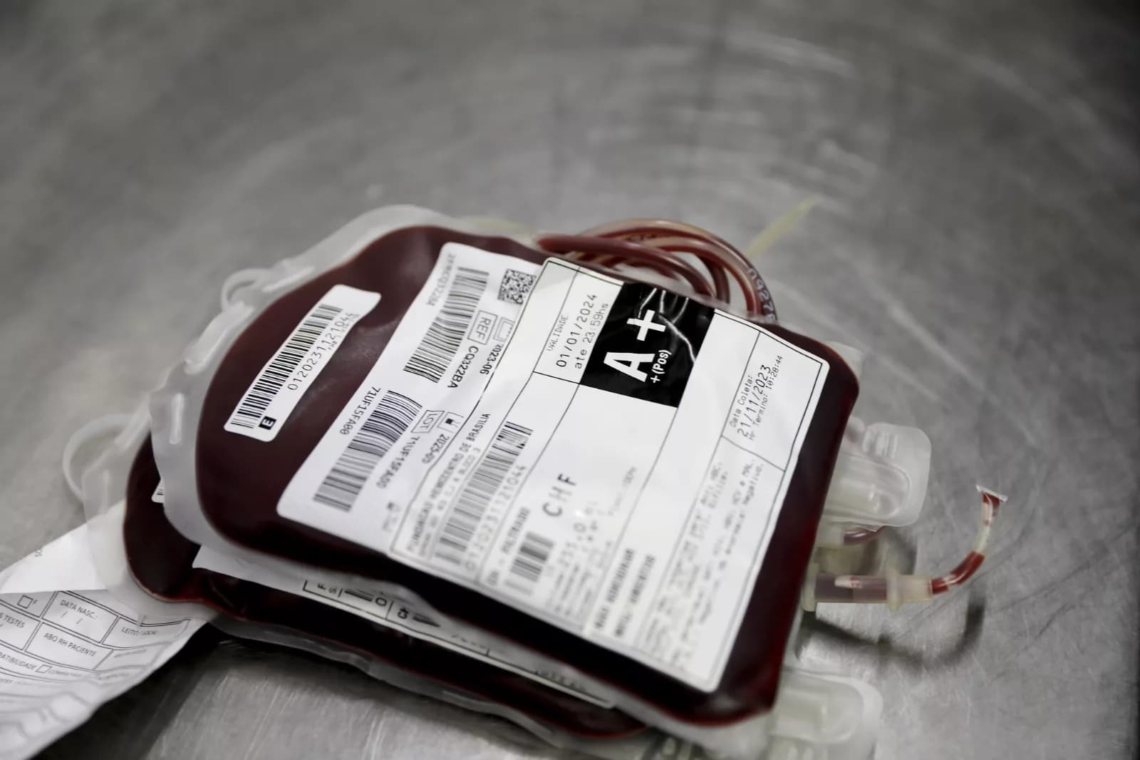 DF adota programa internacional para uso racional de sangue