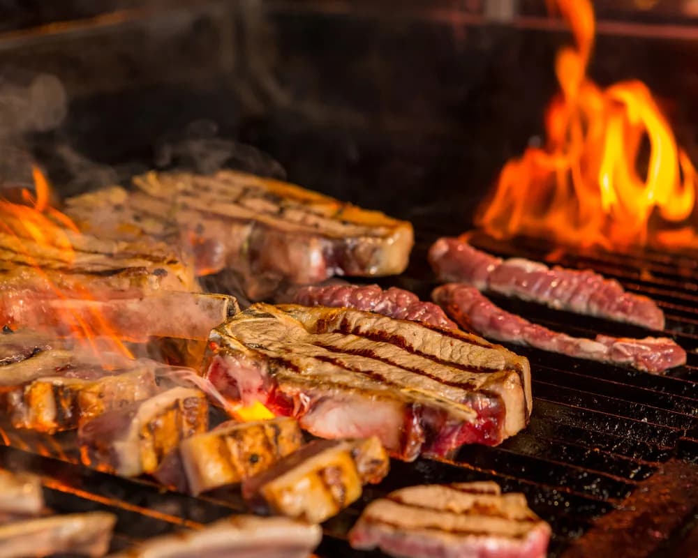 Dieta carnívora: riscos e impactos na saúde a longo prazo