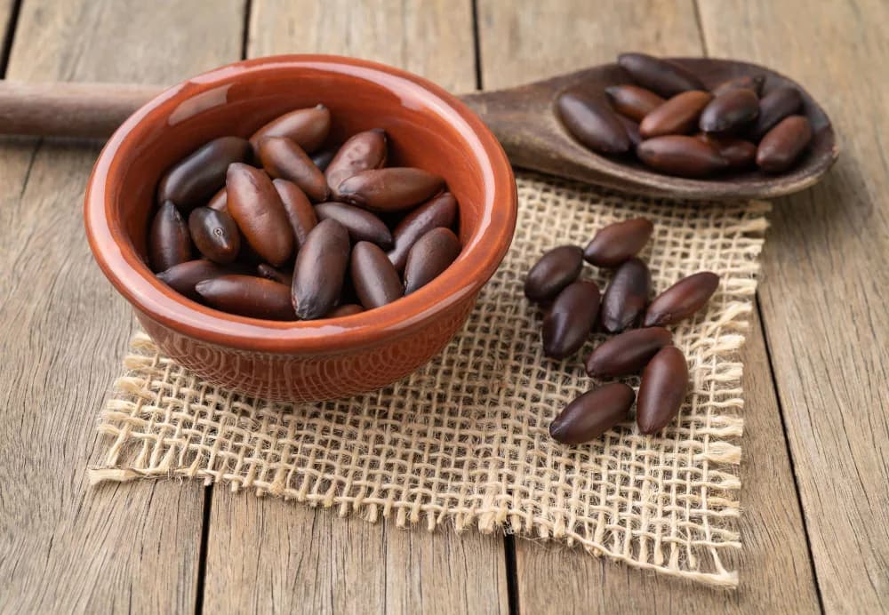 Baru e castanhas brasileiras ganham espaço como superalimentos saudáveis e sustentáveis