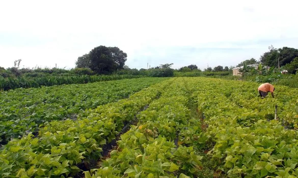 Câmara aprova plano para fixar jovens no campo