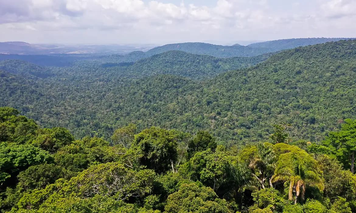R$ 10 milhões para projetos de bioeconomia na Amazônia