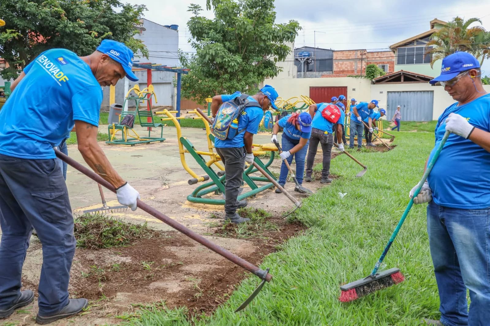 RenovaDF: Inscrições abertas para vivência profissional