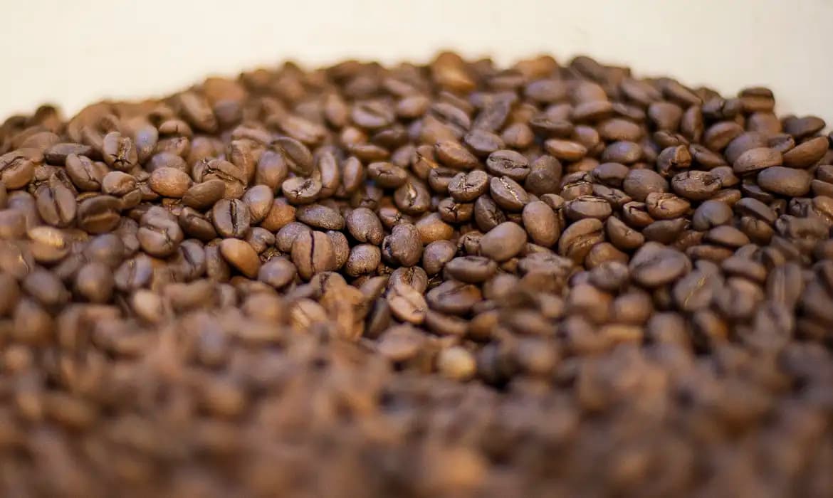 Três marcas de café são reprovadas pelo governo