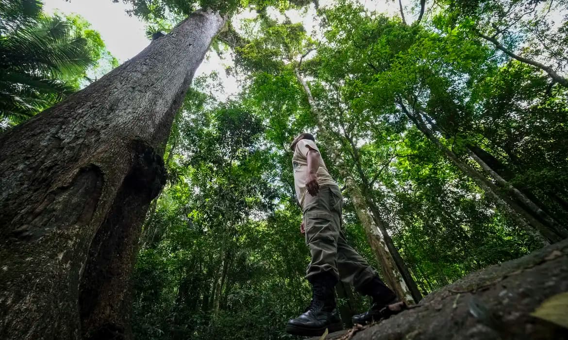 TV Brasil exibe reportagem sobre o resgate de frutas da Mata Atlântica