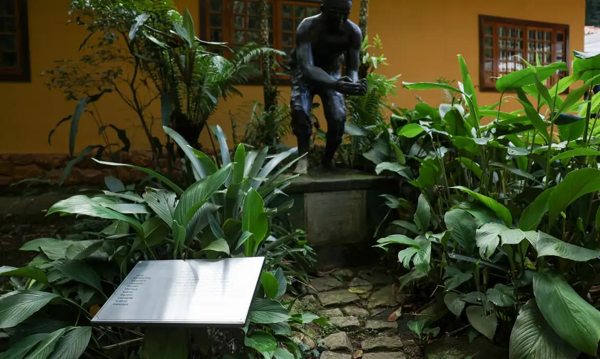 11 Escravizados: Heróis do Reflorestamento da Tijuca