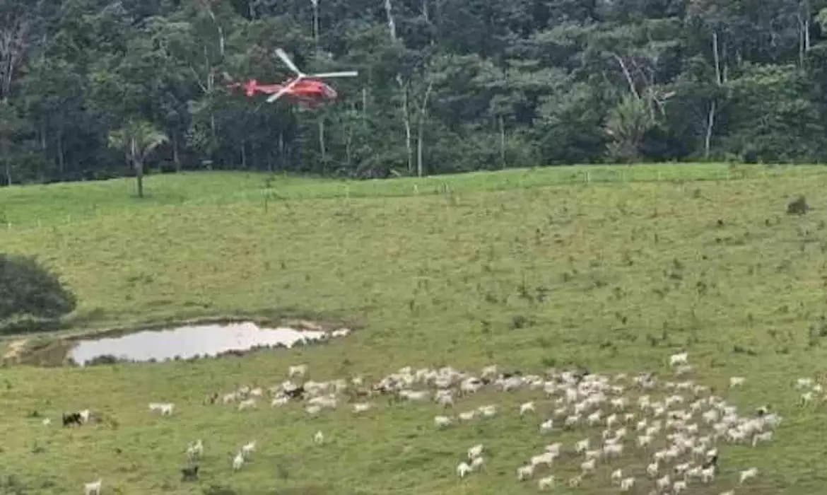 Ataques contra agentes do ICMBio na Reserva Chico Mendes