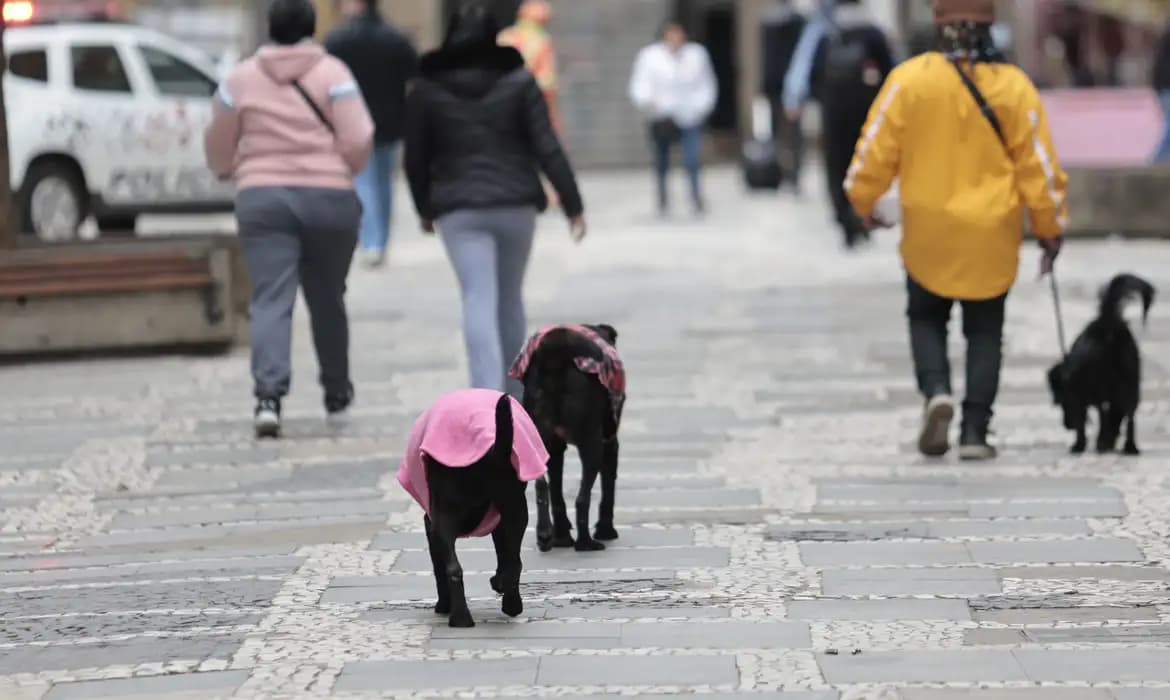 Itatiaia registra -9,4°C: menor temperatura do ano