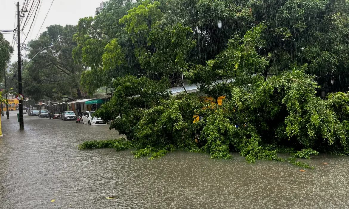 Nordeste ganha alerta de riscos via celular