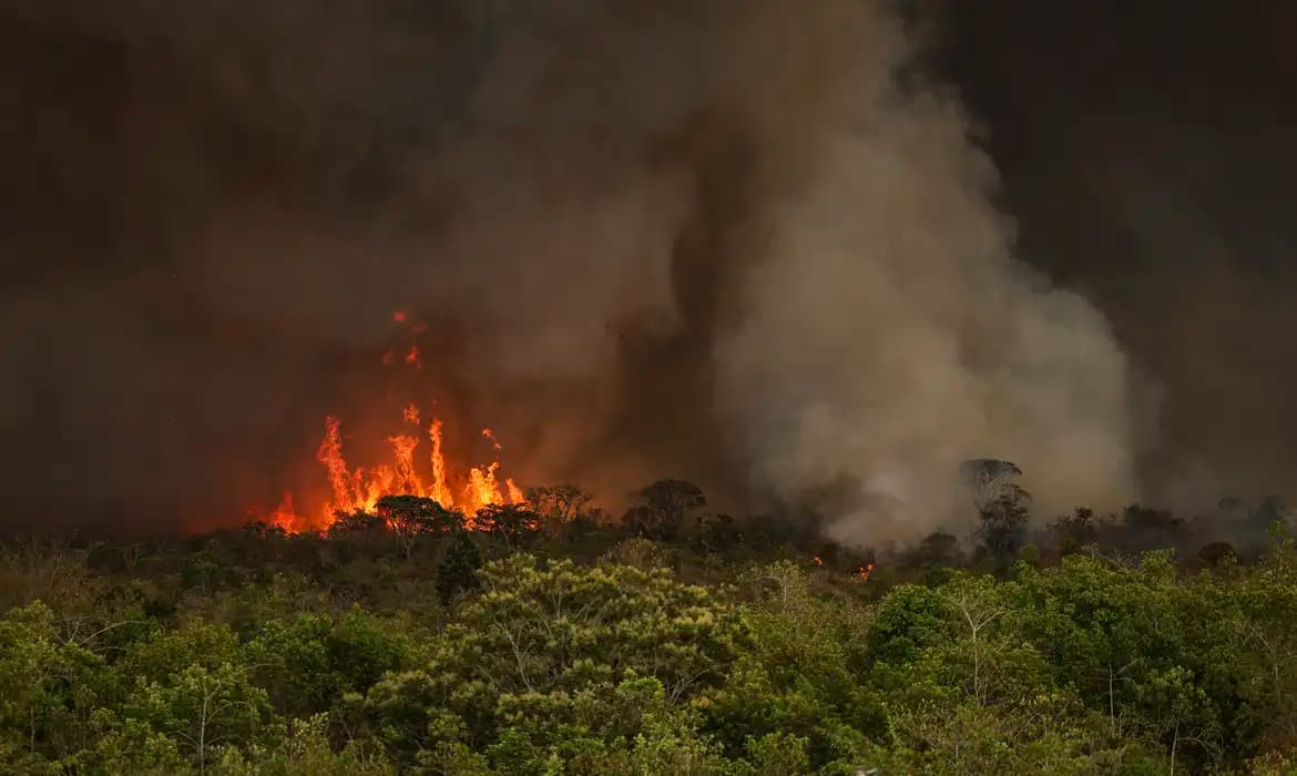 Penas mais duras para incêndios florestais