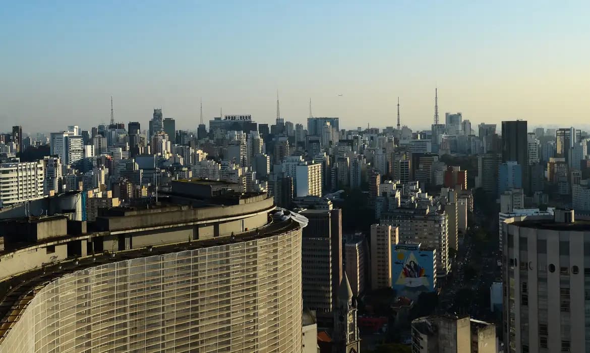 Vidros urbanos: ameaça invisível a milhares de aves