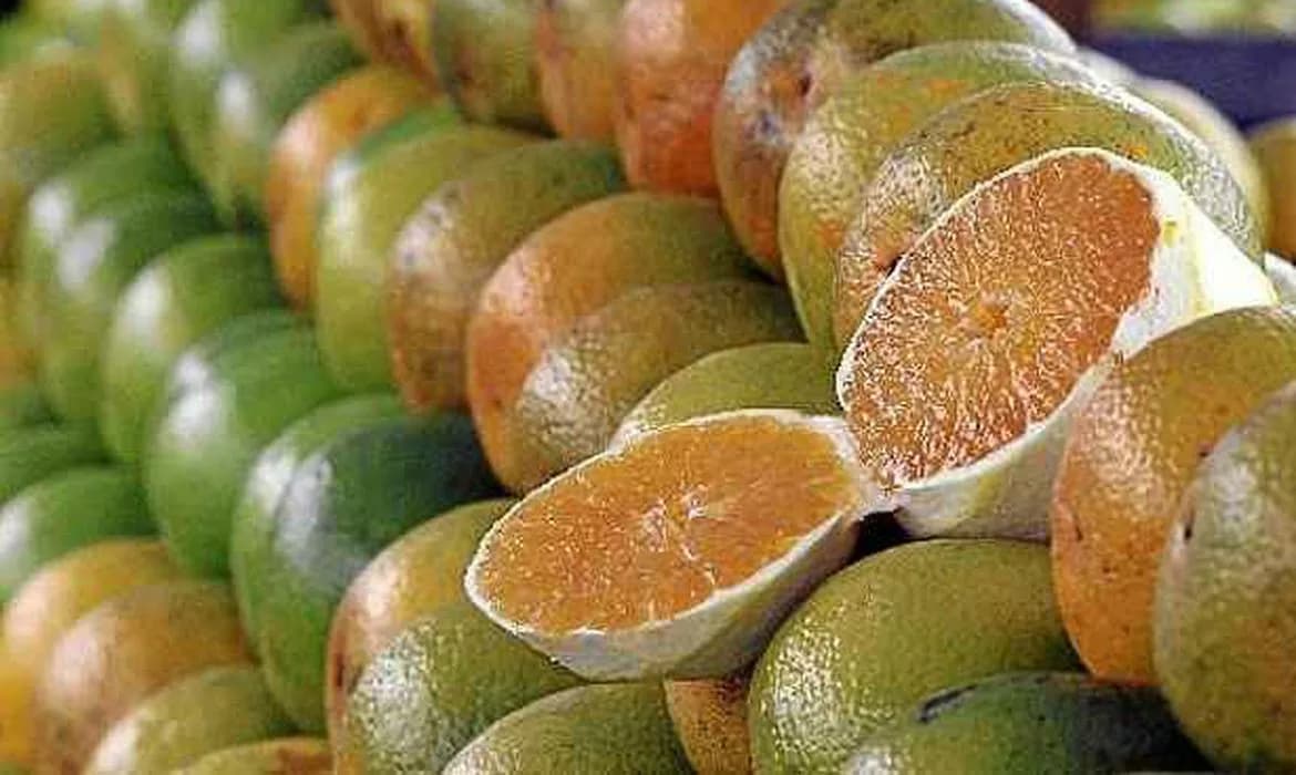 43,4% das exportações brasileiras escapam de tarifa dos EUA
