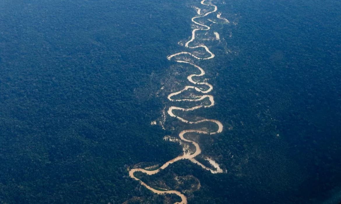 Operação destrói estrutura de garimpo ilegal em terra Yanomami, em Roraima