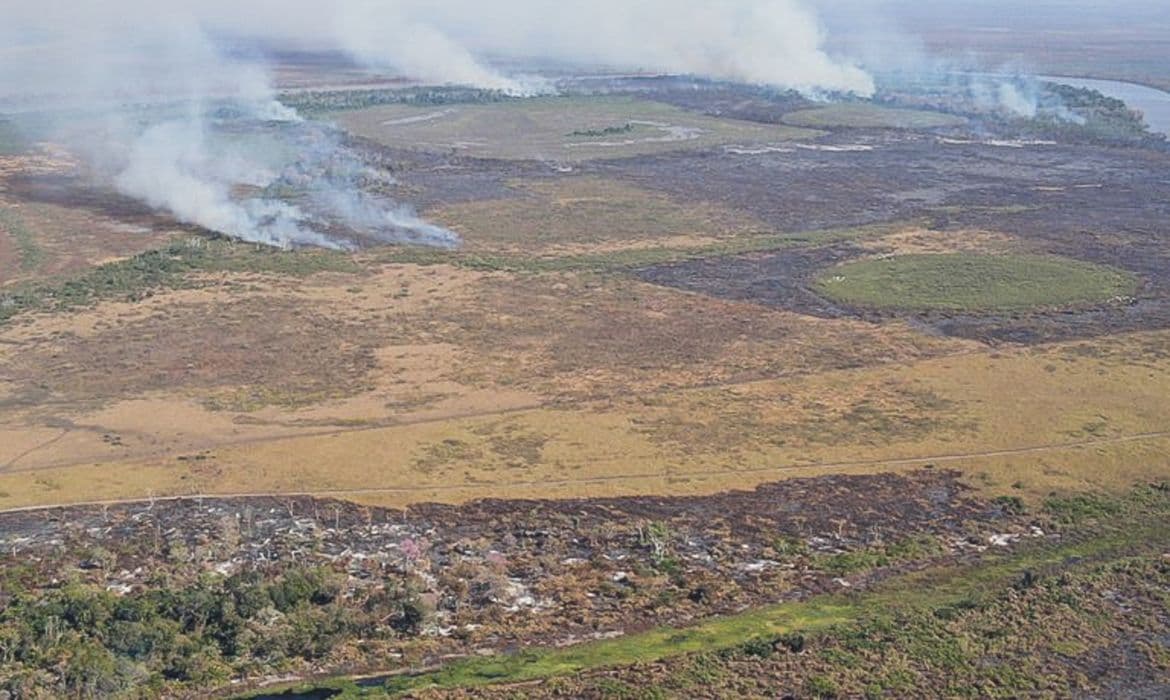 Cade suspende Moratória da Soja e acende alerta de desmatamento na Amazônia