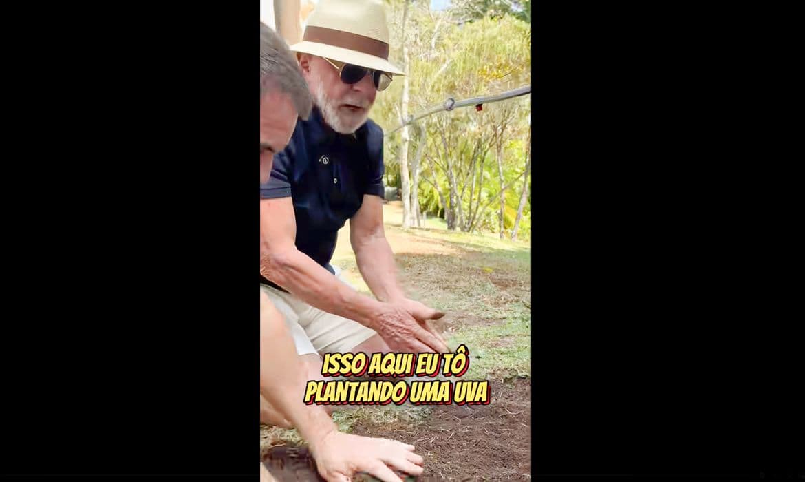 Lula planta uva e diz a Trump: ‘Planto comida, não ódio’
