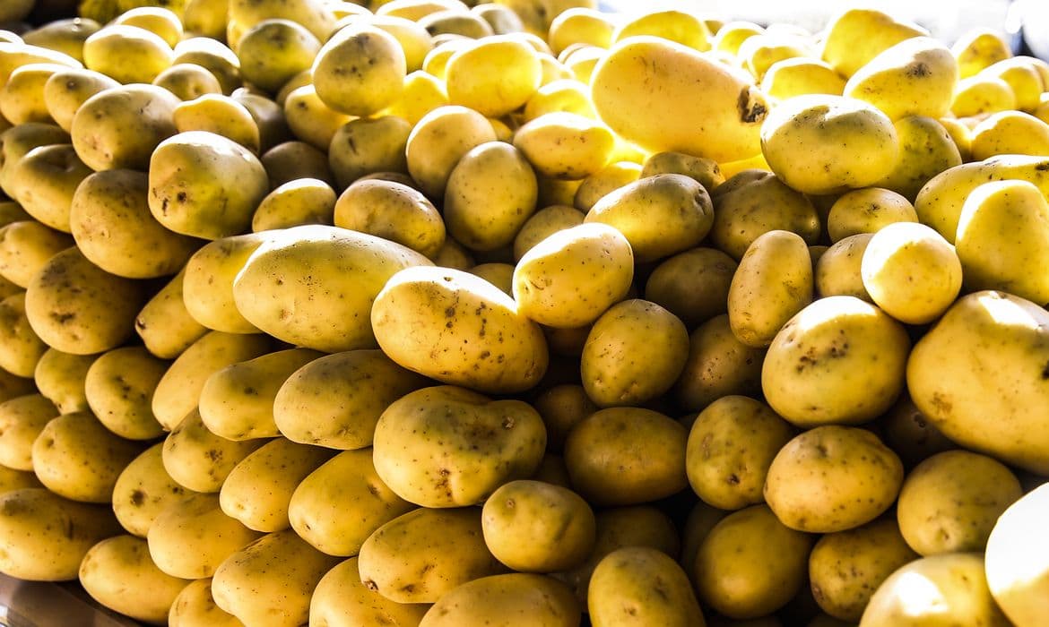 Batata, ovos e verduras puxam deflação de 1,43% em SP em agosto