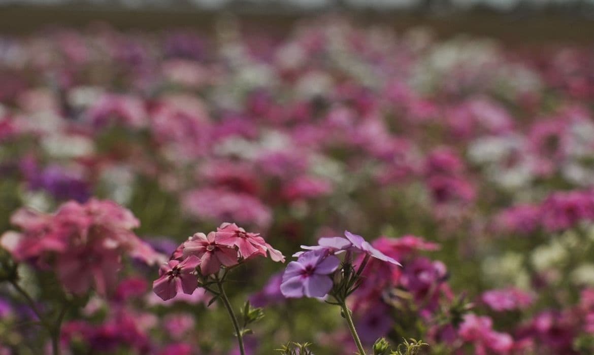 Primavera começa com frente fria, temporais e influência do La Niña no Brasil