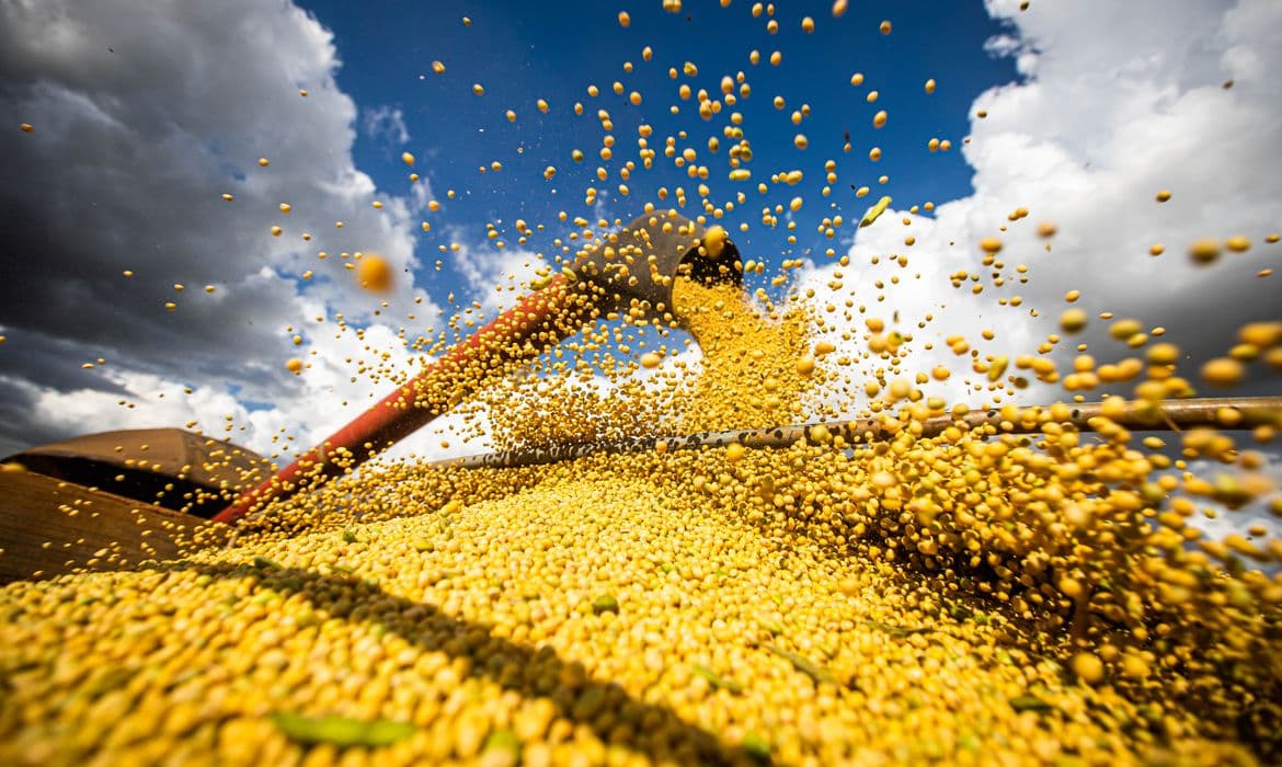 Valor da produção agrícola brasileira recua 3,9% em 2024, diz IBGE