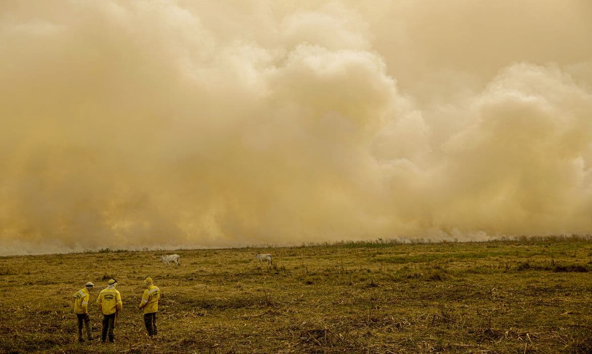 Calor mata 546 mil/ano e põe 8 bilhões sob risco, alerta relatório da Lancet