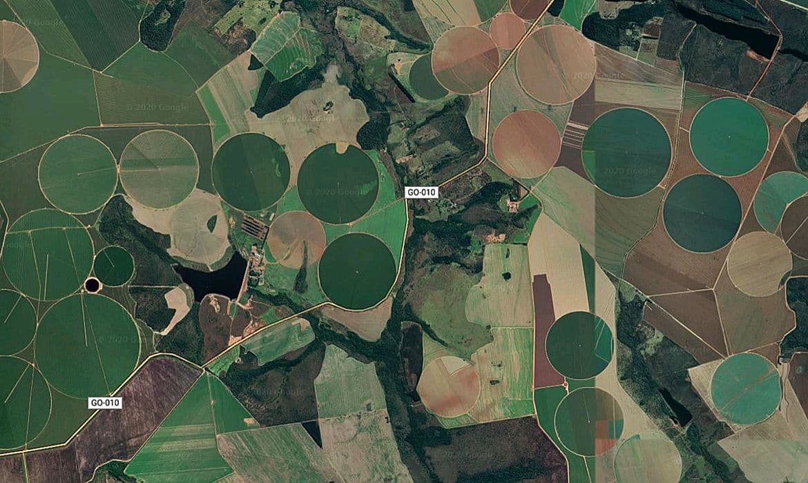 Cerrado perde 28% da vegetação nativa em 40 anos; quase metade alterada