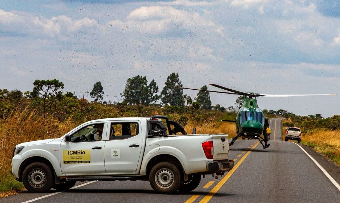 Chuva praticamente extingue incêndios na Chapada dos Veadeiros
