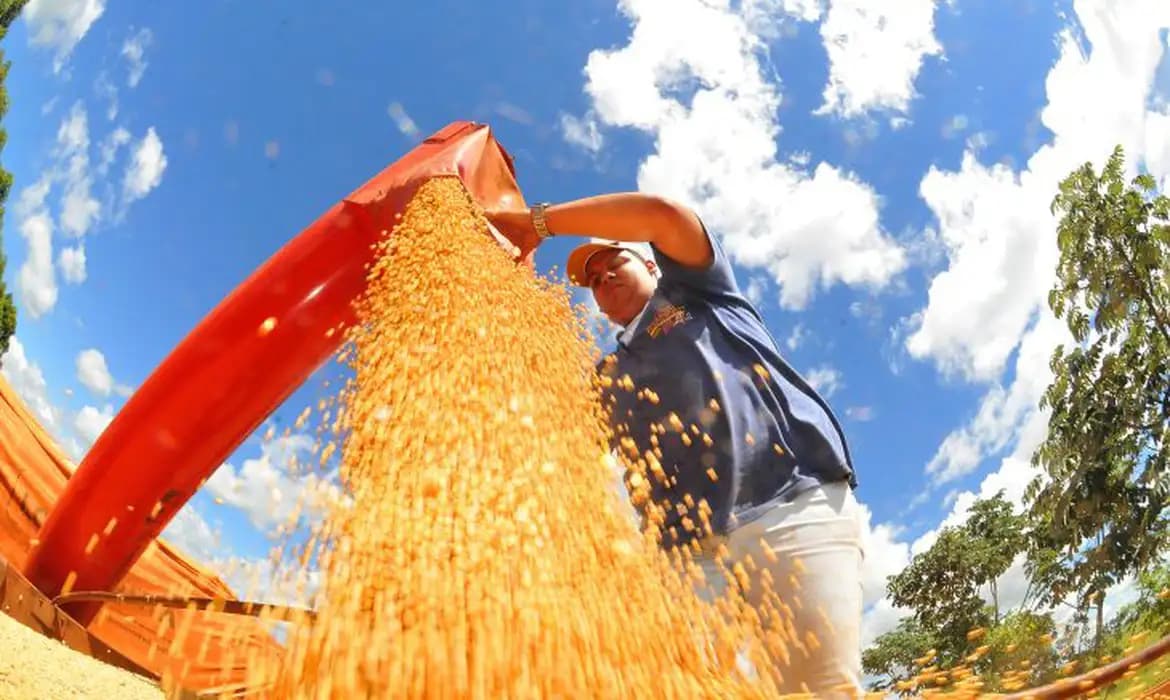 Agro impulsiona crescimento de oito estados acima da média nacional em 2023
