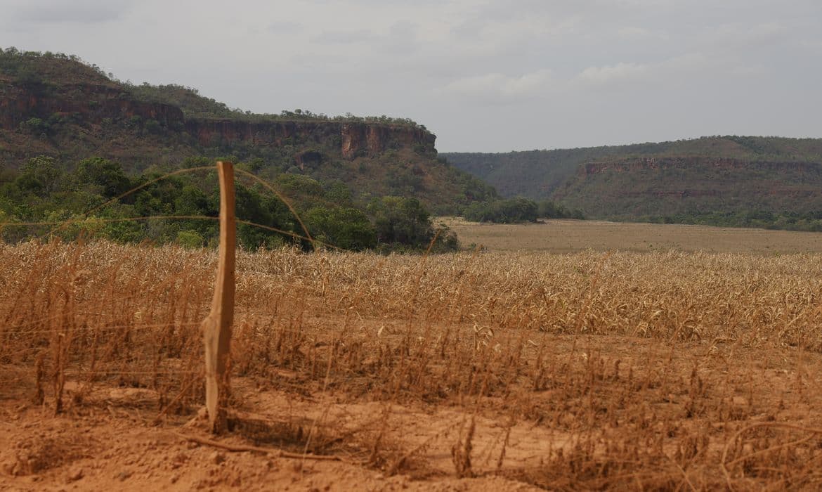 Maranhão: Falhas do Judiciário e Estado agravam conflitos no Cerrado
