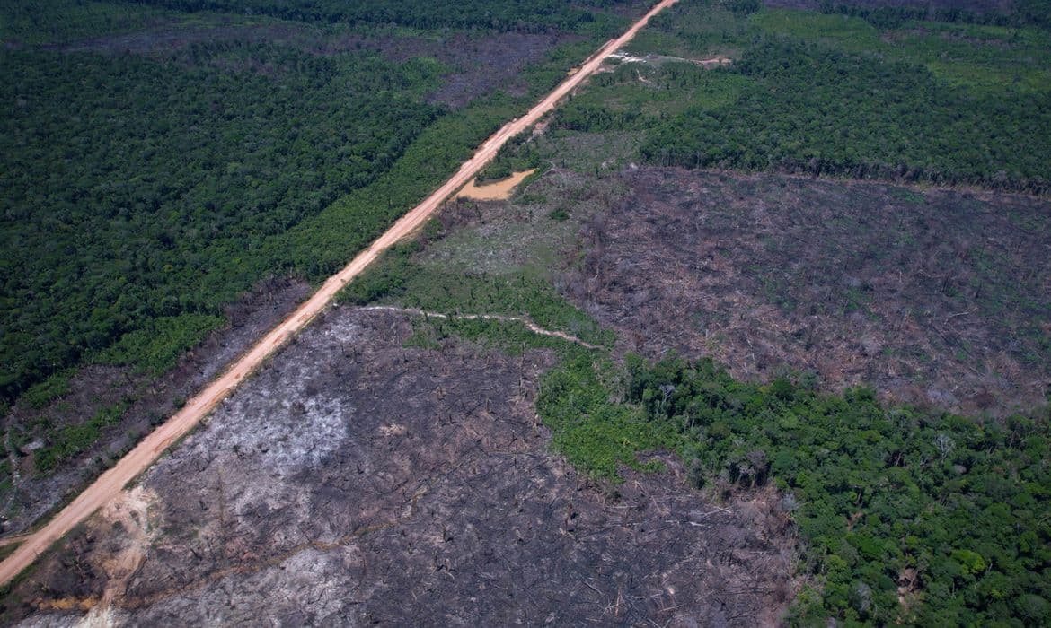 Vias ilegais perto da BR-319 avançam sobre áreas protegidas e terras indígenas na Amazônia