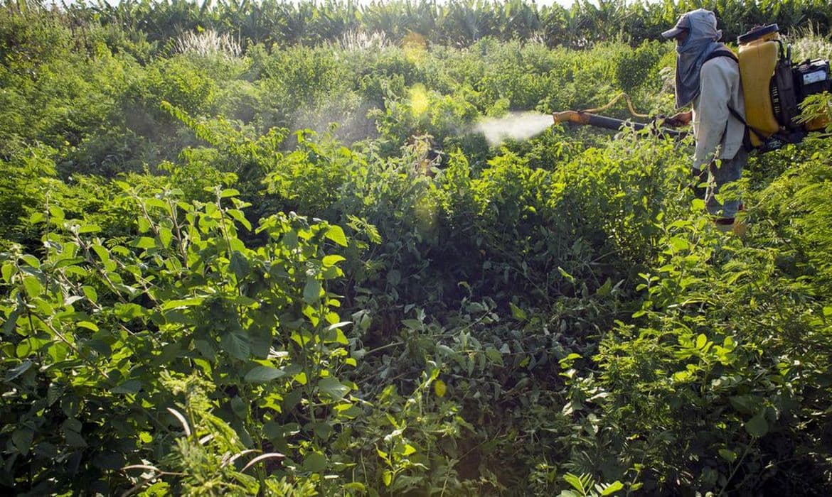 Contaminações por agrotóxicos crescem 762% e alertam para riscos do agronegócio