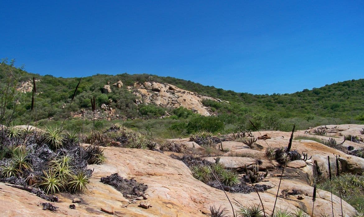 Patrimônio Unesco, Geoparque Seridó é destaque do Caminhos da Reportagem