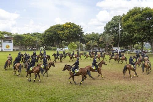 PMDF forma 30 novos especialistas em policiamento montado após curso intenso
