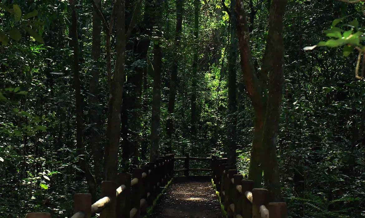 Licitação Aberta para Obras de Infraestrutura nas Trilhas do Parque Nacional de Brasília