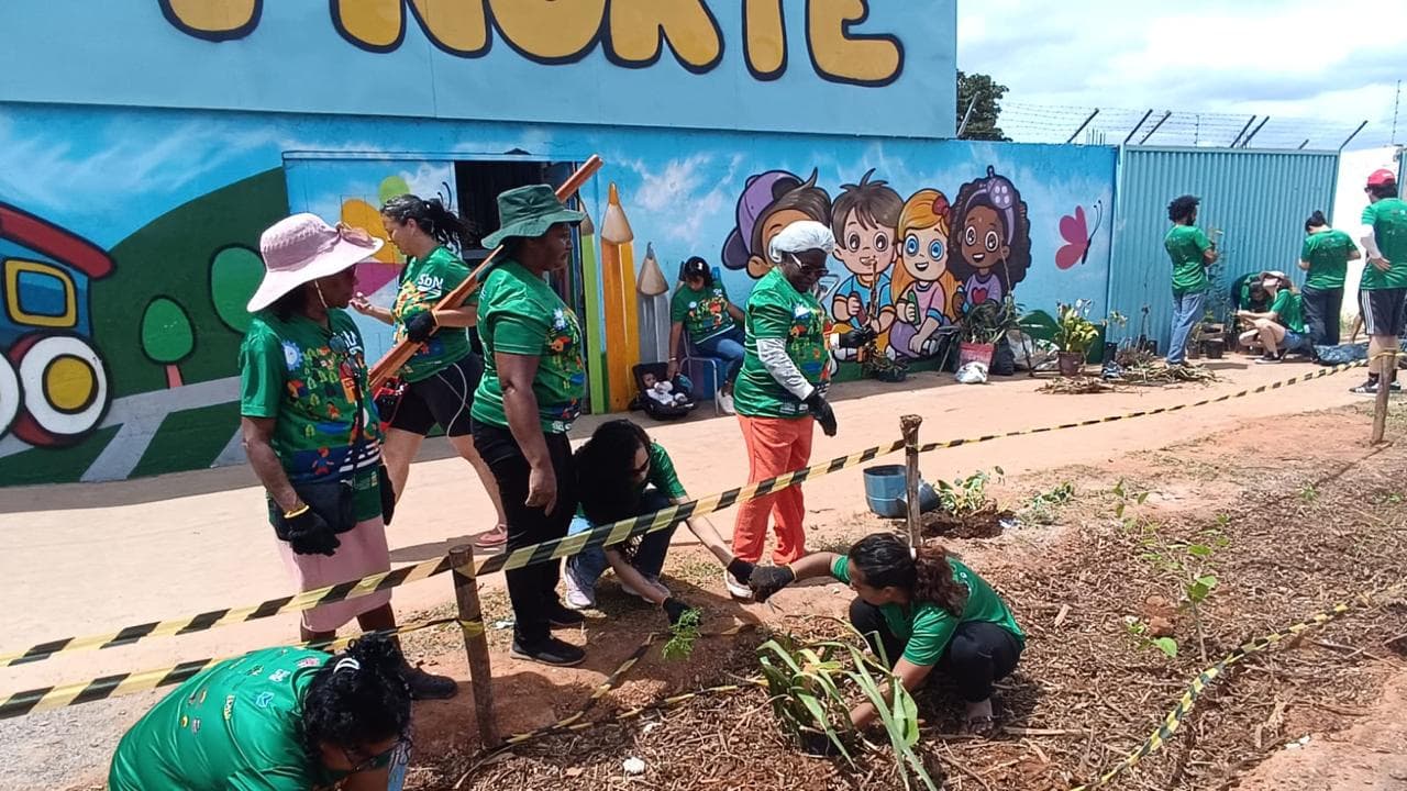 Sol Nascente ganha jardim de chuva para combater alagamentos com apoio da FAPDF