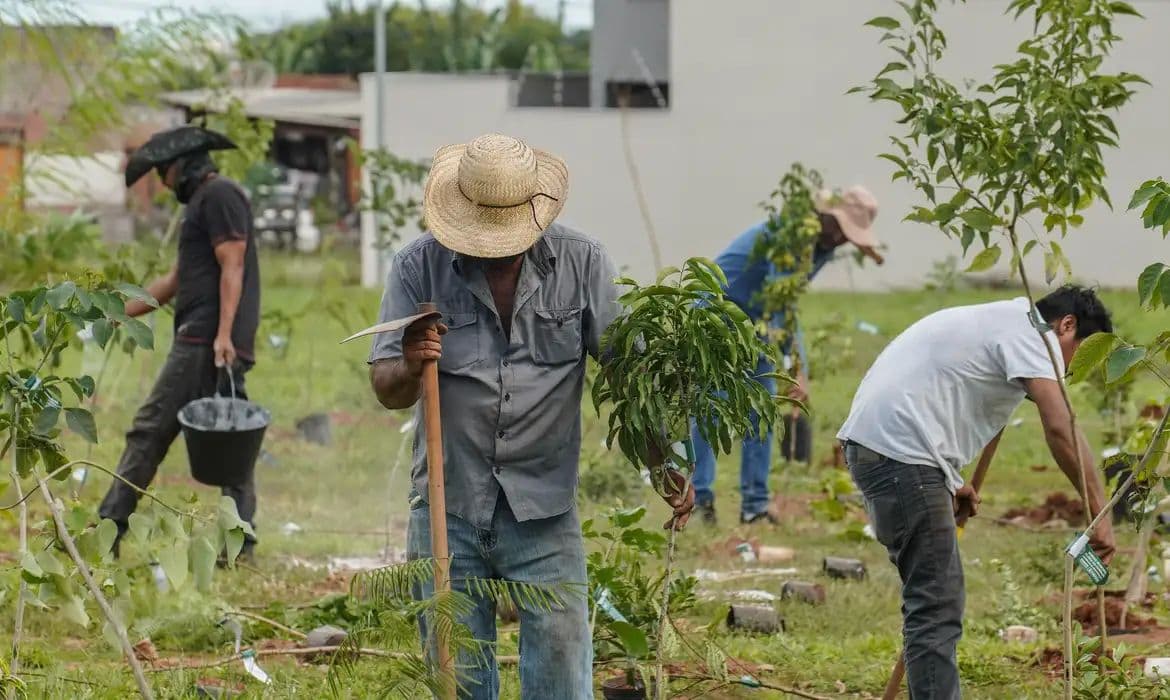 Banco do Brasil neutraliza emissões de carbono da COP15 em Campo Grande