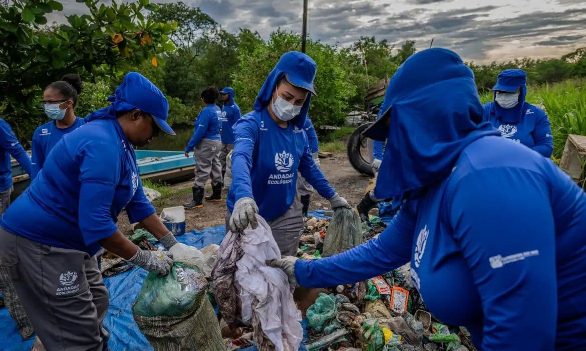 Comunidades usam moeda social para restaurar manguezais na Baía de Guanabara