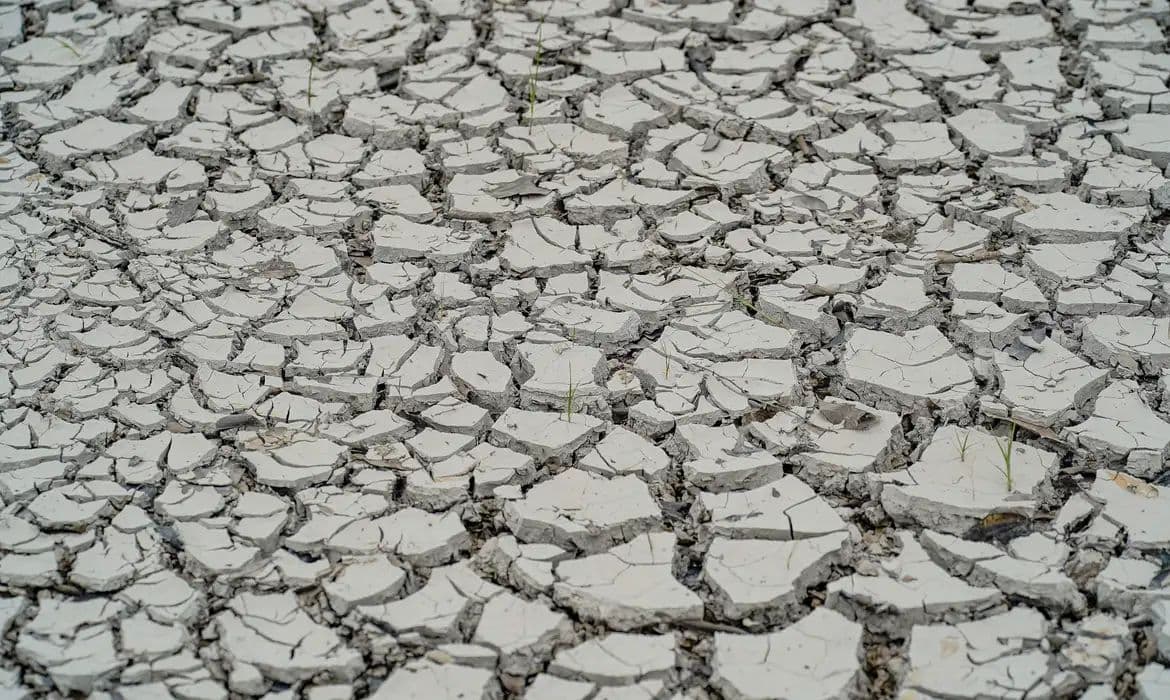 Nordeste: 15 cidades entram em situação de emergência por seca e estiagem