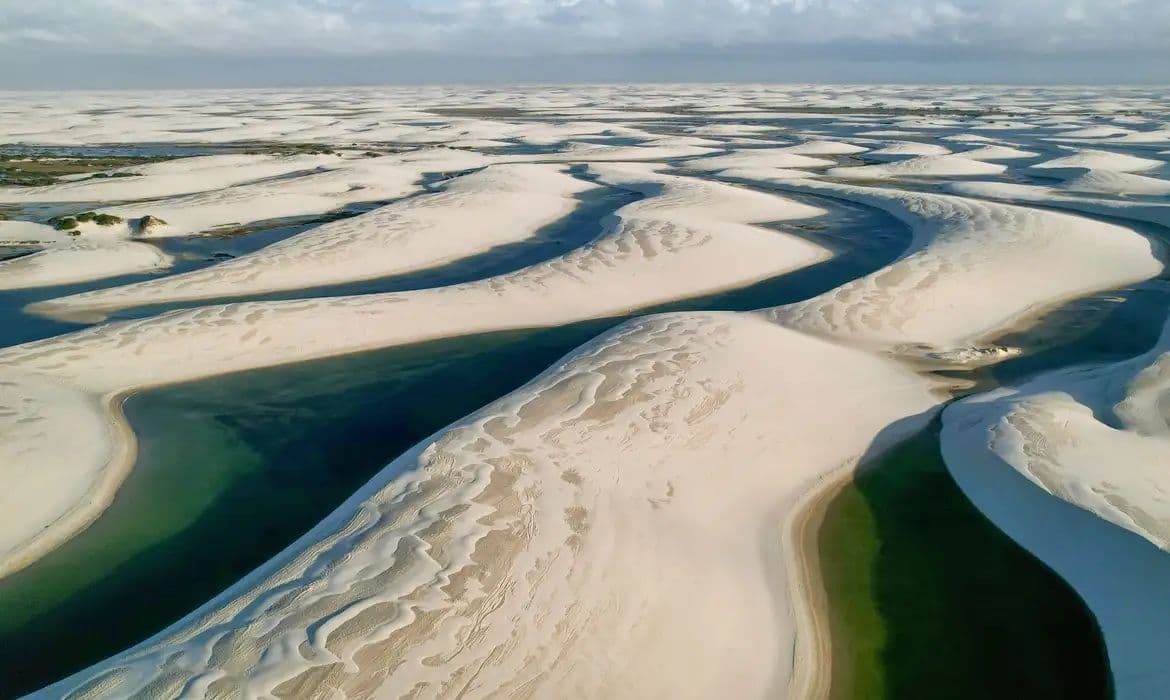 UNESCO: Sítios protegidos são essenciais para biodiversidade global